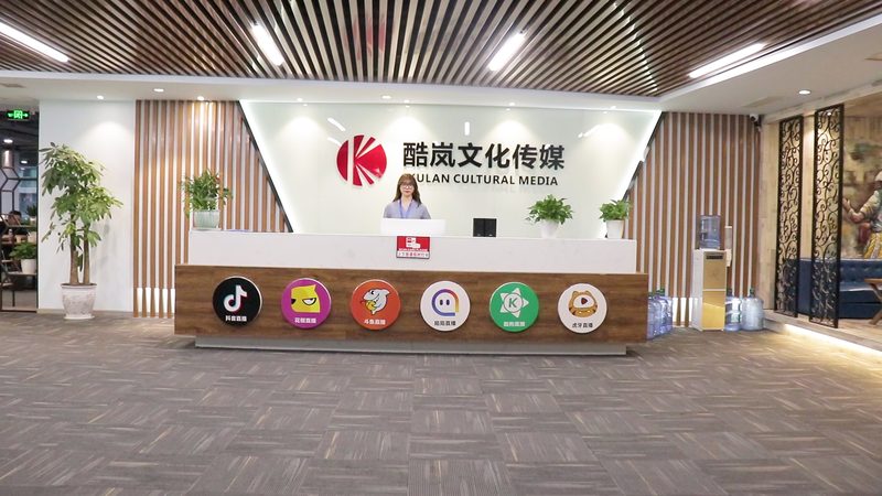 广告片制作成本解析：揭秘影响价格的关键因素