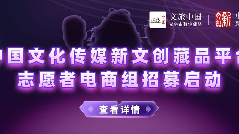 MG动画制作：价格区间揭秘与选择指南